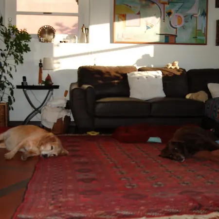 Accommodatie bij particulieren Isa's